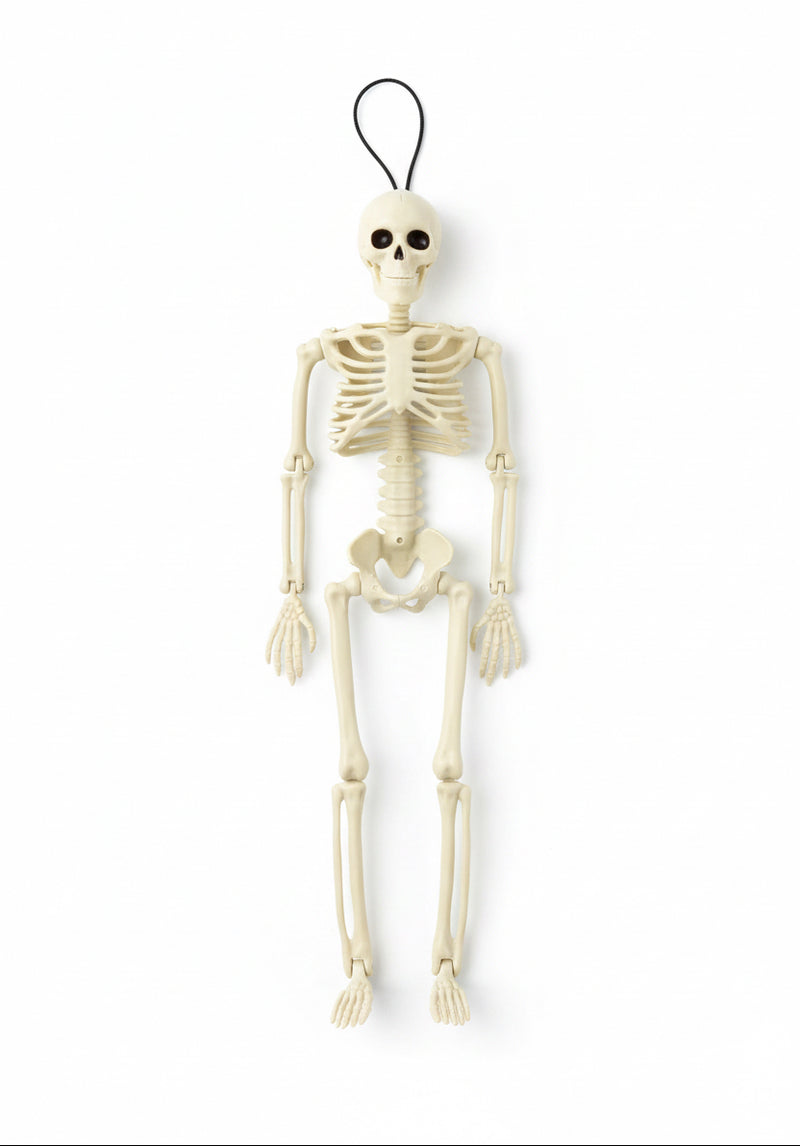 Halloween Skelett 40cm